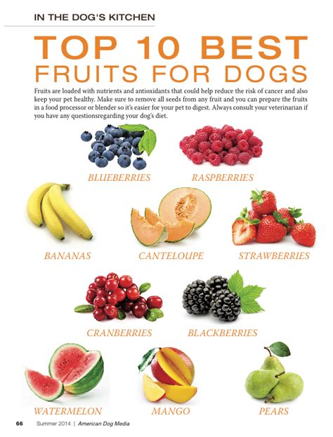 With proper storage, dry food can be safely used until it reaches its best by date. TOP 10 BEST VEGETABLES FOR MY DOG.