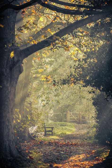 In The Magical Autumn Garden Photograph By Chris Fletcher