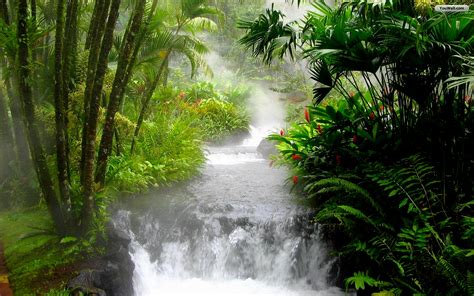 Lush Falls Desktop Wallpaper 1680x1050 Forest Waterfall Nature