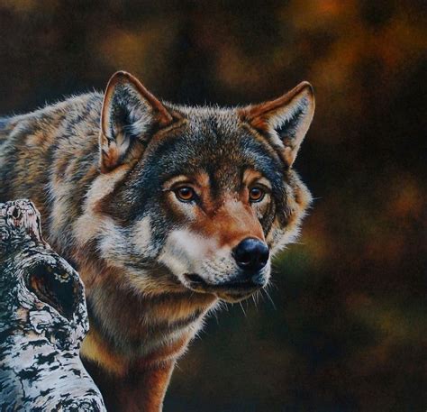 257 Best Wolves In Art 2 Images On Pinterest Wildlife Art Wolves And