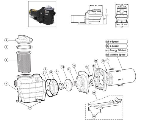 28 Hayward Super Pump Parts Diagram Wiring Database 2020