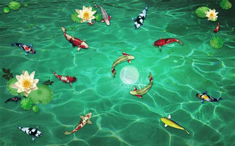 Cùng khám phá những hình ảnh hậu trường thú vị sau cảnh quay cưỡi cá chép của táo quân nhé! Tranh vẽ đàn cá chép dưới hồ nước trong 8679 - 123Design.org