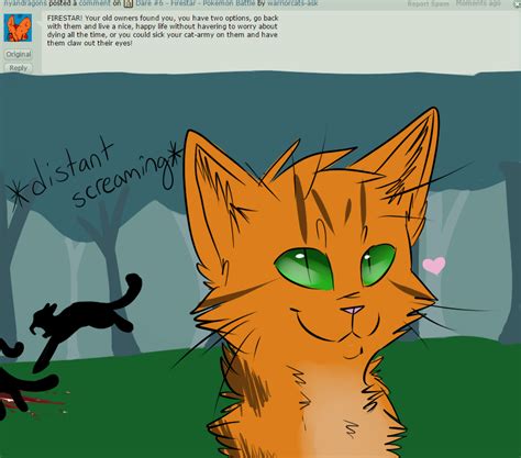 Ask 19 Firestar Owners By Warriorcats Ask On Deviantart