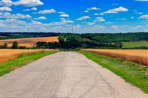 Asphalt Country Road Through Golden Wheat Fields And Blue Sky With