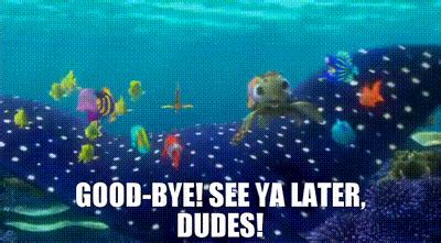 Yarn Good Bye See Ya Later Dudes Finding Nemo Video Gifs By Quotes Aead