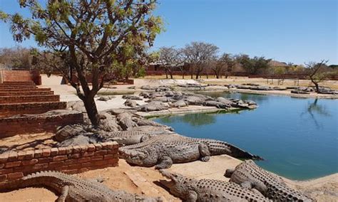 Modimolle Nylstroom South Africa 2024 Best Places To Visit