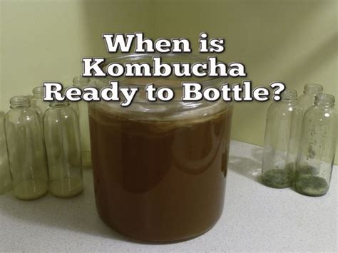 how to know when kombucha is done fermenting and is ready to bottle