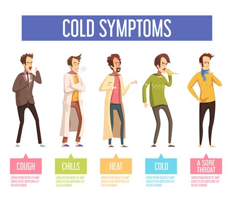 Common Cold Symptoms Cartoon Style Infographic Vector