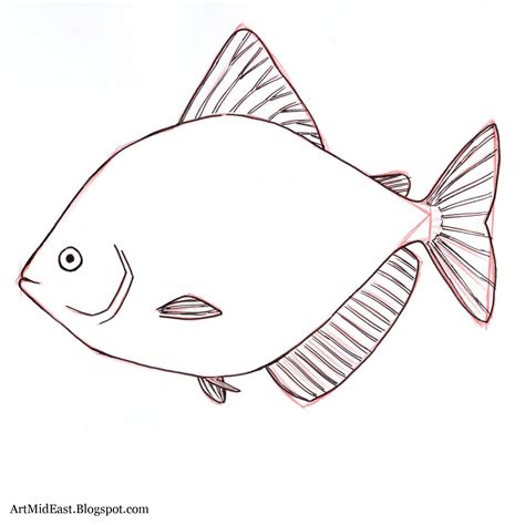 How To Draw A Fish Step By Step Drawing Lessons