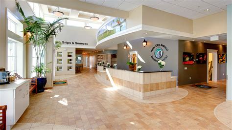 Bda Architecture Veterinary Hospitals