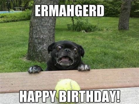 Ermahgerd Happy Birthday Meme Happy Birthday Memes Images About