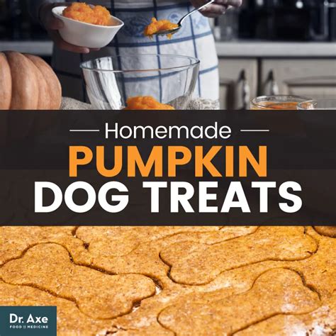 Pumpkin Dog Treats For Your Canine Friend Pumpkin Dog Treats Dog