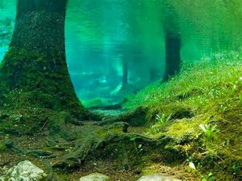 Paradis Express Green Lake Styria