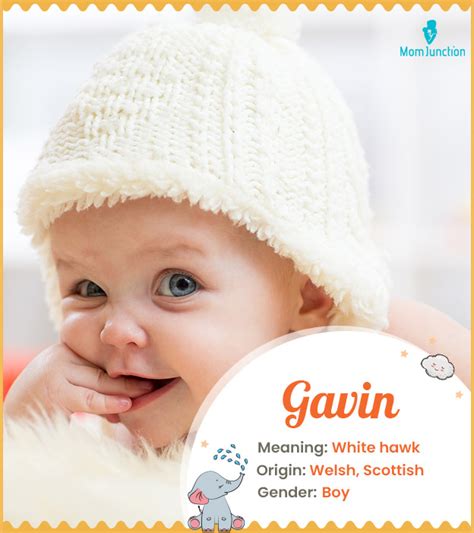 Gavin Name Meaning Origin History And Popularity Momjunction