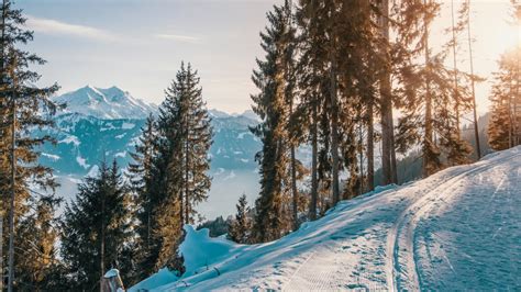 Download Wallpaper Winter Snow White Sunset Mountains 1366x768