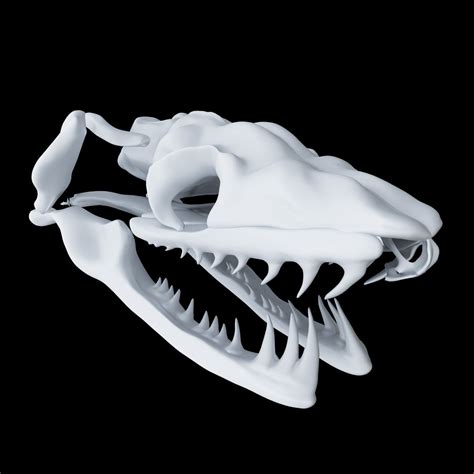 3d Printable Model Skull Snake Aglyphous Cgtrader