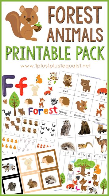 Top 145 Forest Animal Activities For Preschoolers