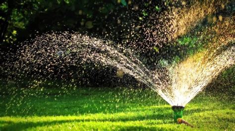 Lawn Watering Why When And How To Water Grass