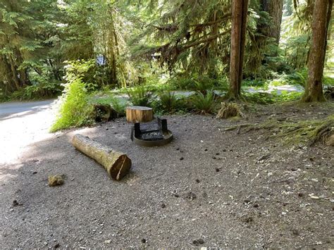 Site 028 Sol Duc Hot Springs Resort Campground