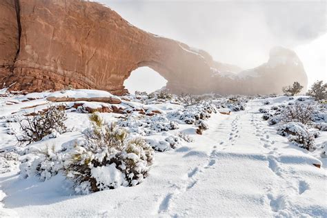 The Best Us National Parks To Explore In The Winter