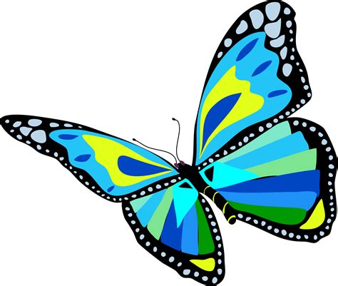 Graphic Transparent Stock Flying Butterfly Clip Art Flying Butterfly