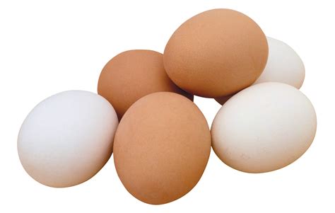 Collection of egg png transparent (48). Eggs PNG Image - PurePNG | Free transparent CC0 PNG Image Library