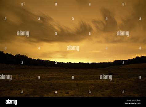 Landscape Of Treeline At Dusk Stock Photo Alamy