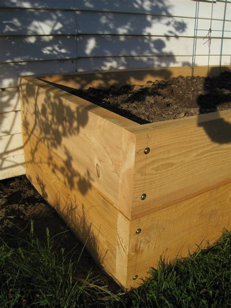 We did not find results for: Local Color: Tall Raised Garden Beds for the Yard with Dogs!