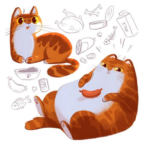 70 Fat Fluffy Cat Drawing Ilustração De Stock Gráficos Vetoriais E Clipart Royalty Free Istock