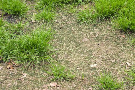 This means you no longer have to worry about your kids going out to play in the garden and tracking all kinds of muck through the house, because artificial grass contains no mud. How to Install Artificial Grass On Dirt