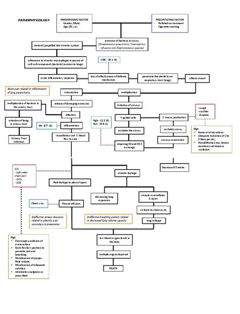 Using procalcitonin as a biomarker for severe infection may. Community-Acquired Pneumonia Pathophysiology | Respiratory ...