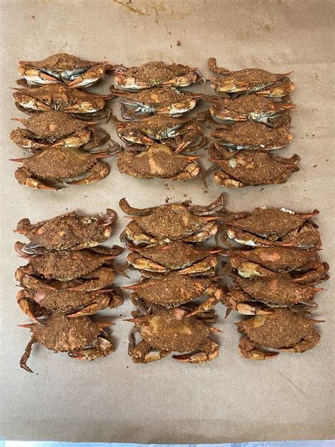 Premium Female Maryland Crabs By The 12 Bushel Vinces Crab House