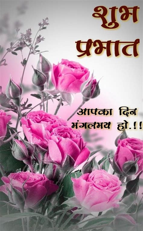 Pin By Lalit Rana On Morning Wishes In 2020 Morning Wish Flowers Plants