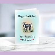 Birthday Card Miserable Old Goat Birthday Card Folksy