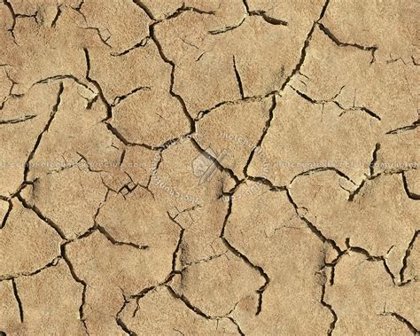 Cracked Dried Mud Texture Seamless 12871