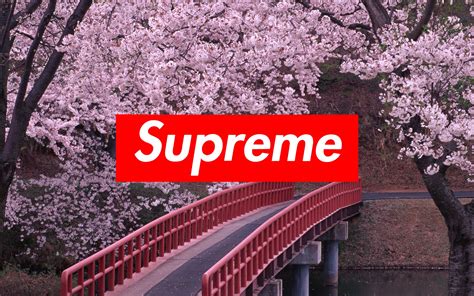 Supreme Background ·① Download Free Backgrounds For