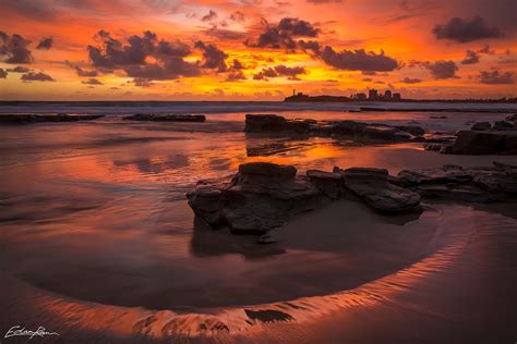 Pitta Pandanus Australian Landscape Photography By Edan Raw