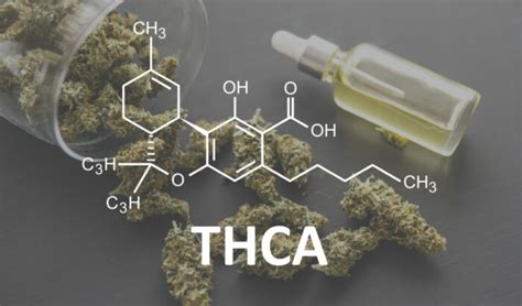 What Is Thca And How Is It Different From Thc No Cap