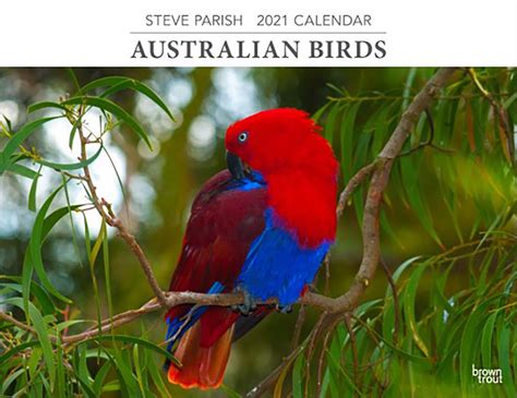Fixture, teams, tips, odds and more. 2021 Calendar Australian Birds Steve Parish Horizontal Wall by Browntrout A08849 - Browntrout ...
