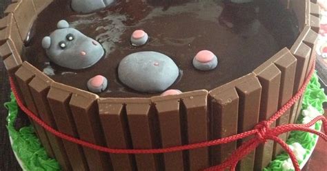 My Take On Pig In Mud Cake Hippos In Mud Cakes Pinterest Mud