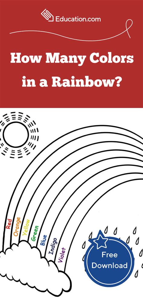 How Many Colors In A Rainbow Worksheet Business
