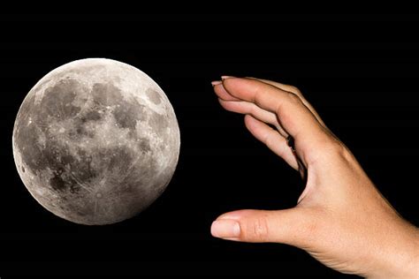 Catch Moon Stock Photos Pictures And Royalty Free Images Istock