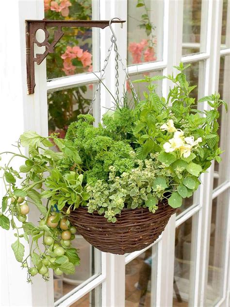 Tips For Perfect Herbal Hanging Baskets