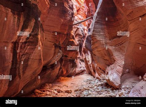 Buckskin Gulch Slot Canyon On The Arizona Utah Border Stock Photo Alamy