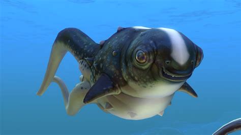 Image Cute Fish 4 Subnautica Wiki Fandom Powered By Wikia