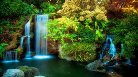 Forest Natural Waterfall Background Hd 1024x576 Download Hd