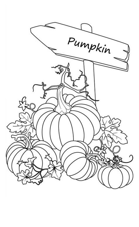 Top 10 pumpkin patch coloring pages your toddler will love to do file type: Pumpkins, : Sign of Pumpkins Garden Coloring Page | ぬり絵 ...