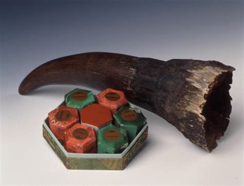 The Trouble With Using Synthetic Rhino Horn To Stop