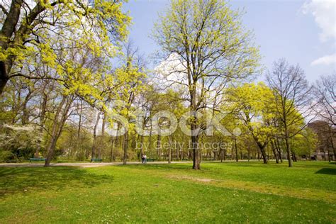 Park In Spring Stock Photo Royalty Free Freeimages