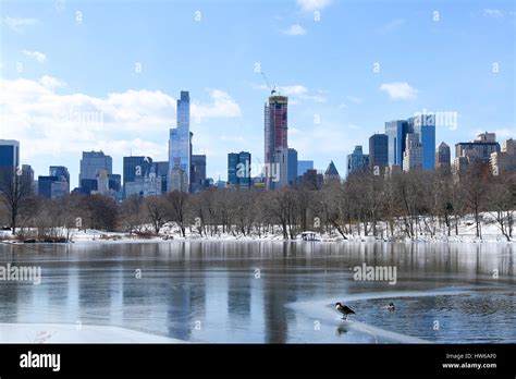 Winter In Central Park New York Ny Stock Photo Alamy